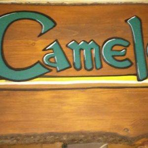 camelot pub